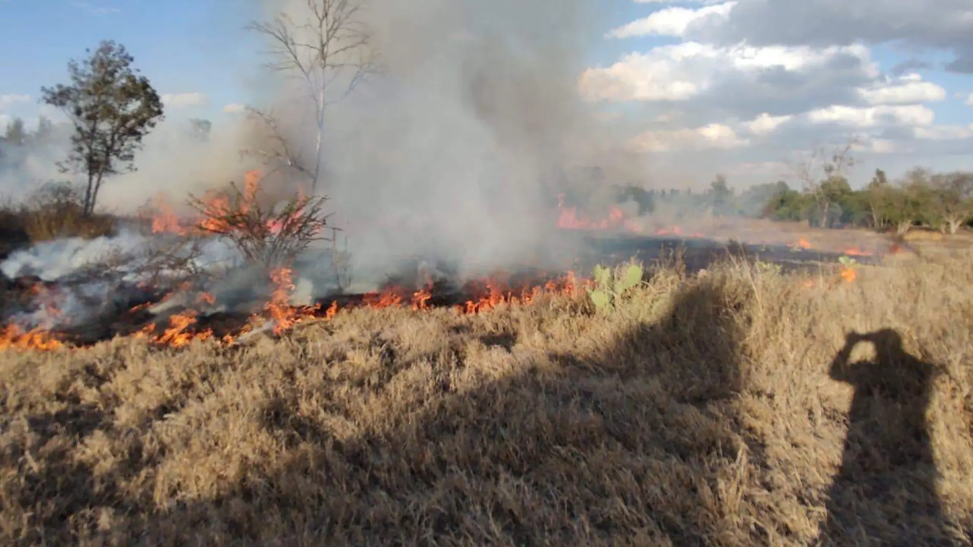 incendio en el parque Tangamanga I (1)